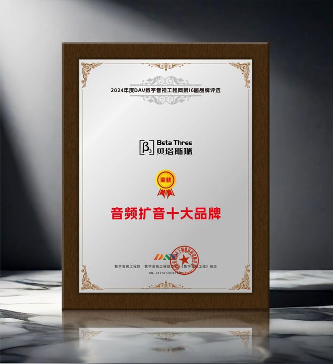 2024年度音频扩音十大品牌”名单公布！k8凯发国际入口喜讯来袭！ DAV01“