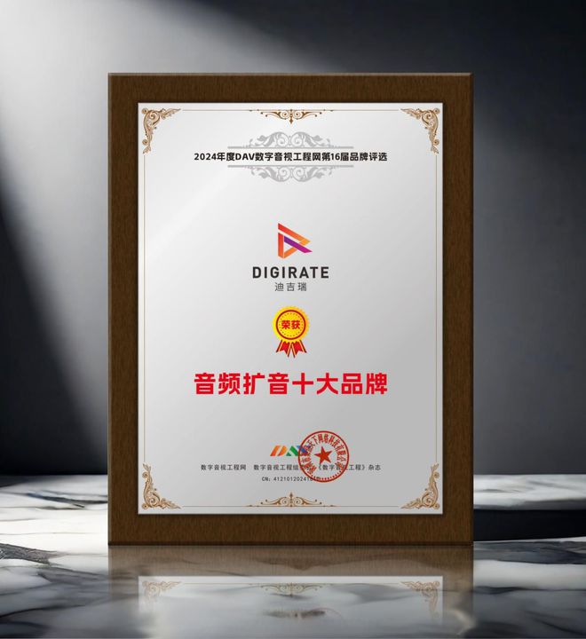 2024年度音频扩音十大品牌”名单公布！k8凯发国际入口喜讯来袭！ DAV01“(图11)